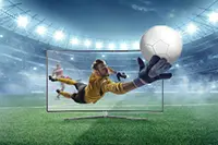 Imagem de um goleiro pegando um bola em um campo de futebol.
