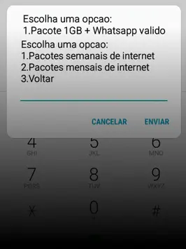 pacotes adicionais passo 05