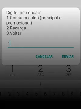 saldos e recargas passo 02