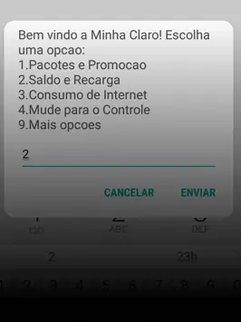 saldos e recargas passo 01