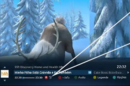 Imagem da programação da Tv com destaque para a opção de Replay TV.
